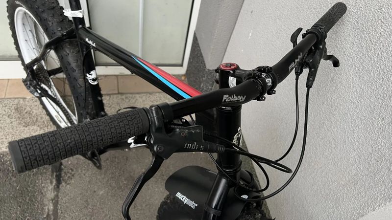 Fatbike SALSA Beargrease - black L/XL