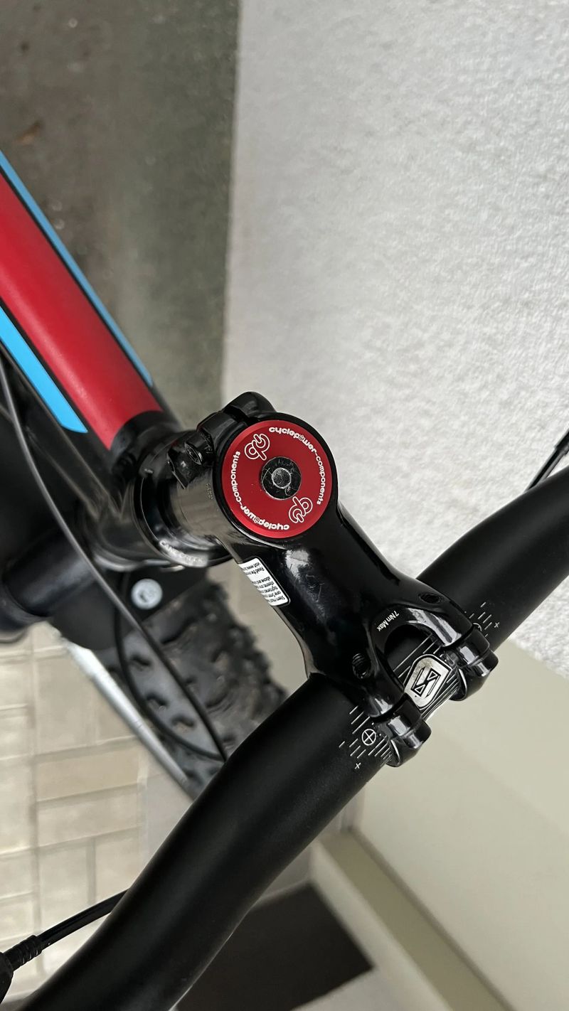 Fatbike SALSA Beargrease - black L/XL