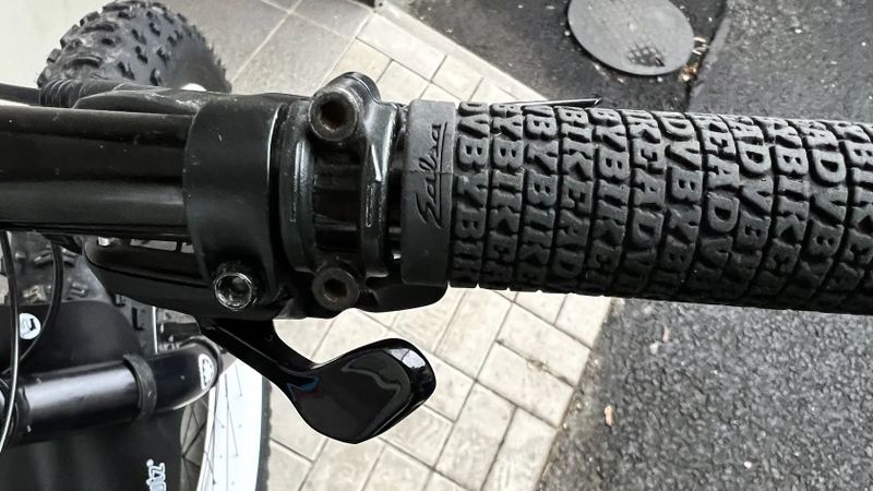 Fatbike SALSA Beargrease - black L/XL