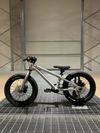 Early Rider Hellion 16" custom