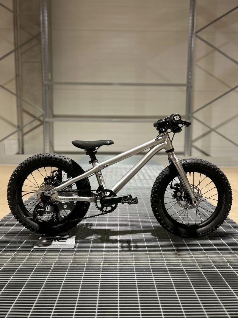 Early Rider Hellion 16" custom