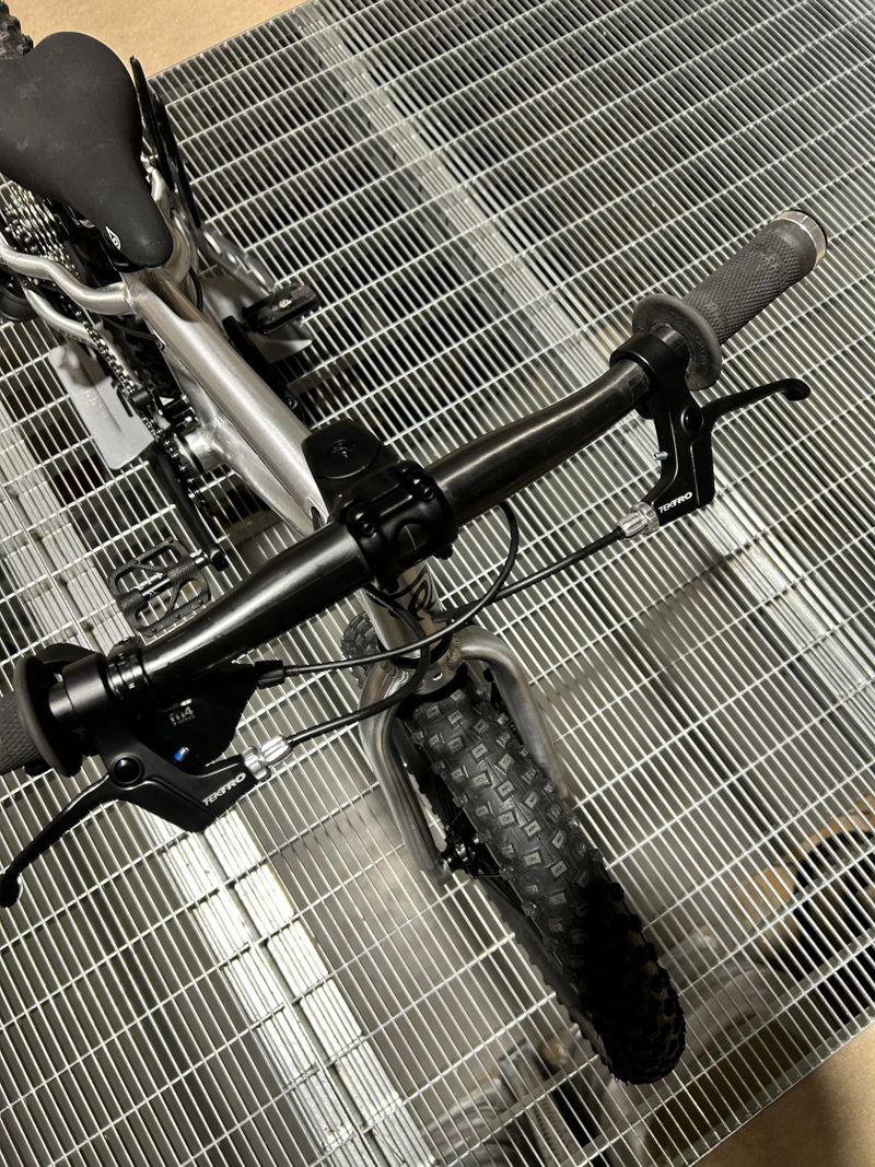 Early Rider Hellion 16" custom