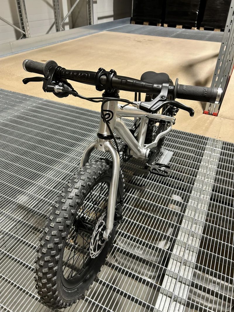 Early Rider Hellion 16" custom