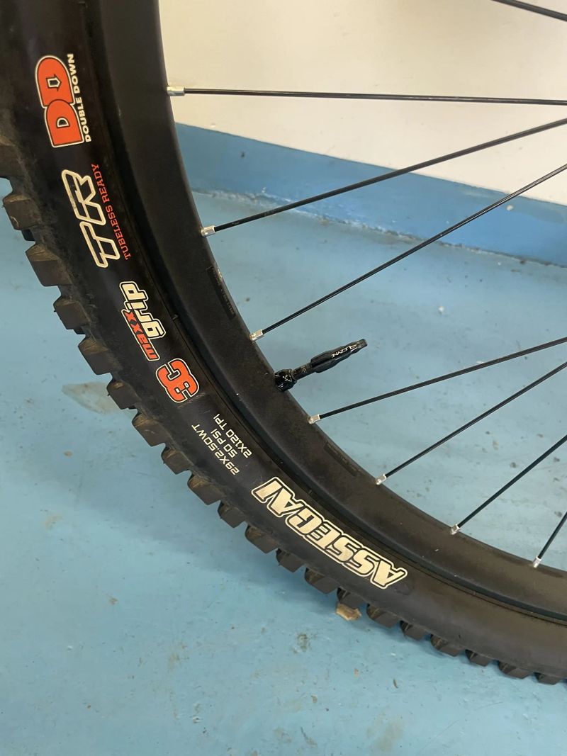 Cannondale Jekyll Carbon 1