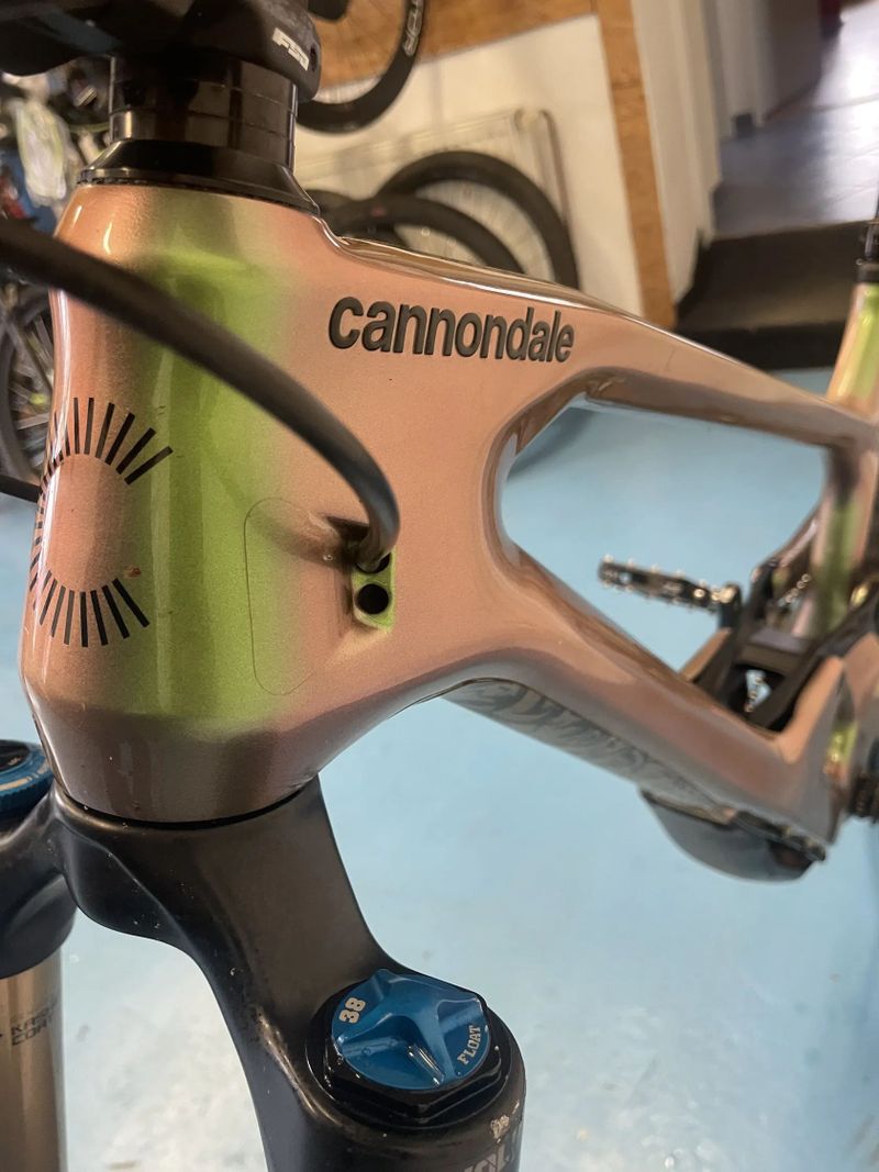 Cannondale Jekyll Carbon 1