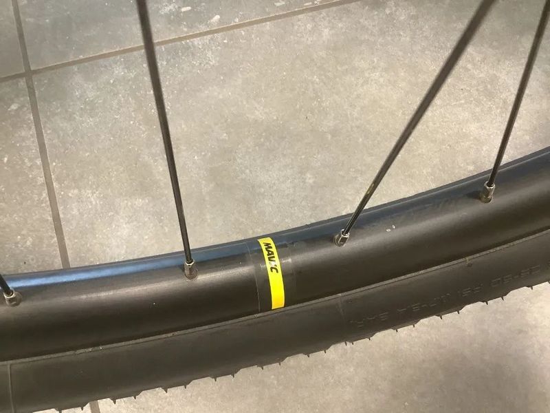 4EVER VIRUS SXC TEAM 2022