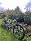 Commencal Meta am 29 2021