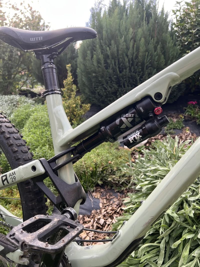 Commencal Meta am 29 2021