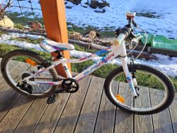 Superior Paint 20" - PĚKNÉ