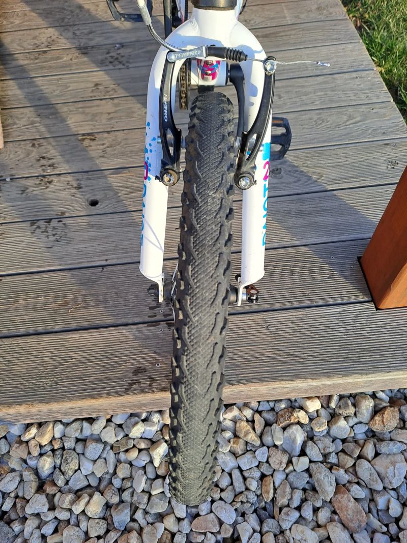 Superior Paint 20" - PĚKNÉ