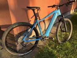 Checker Pig E-MTB Active Pig Diamant Bosch Performance Line CX 625 