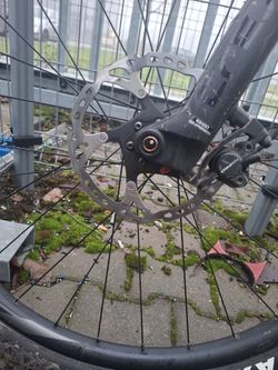 Giant Fathom 29 " 2 blue ashes