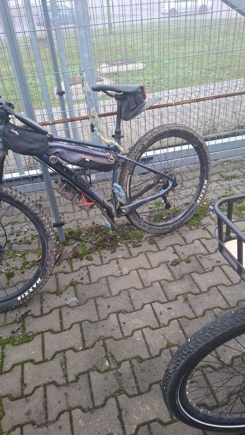 Giant Fathom 29 " 2 blue ashes