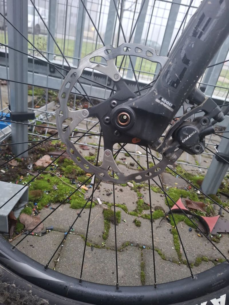 Giant Fathom 29 " 2 blue ashes