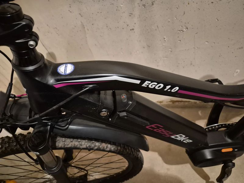 EasyBike EGO 1.0-CF