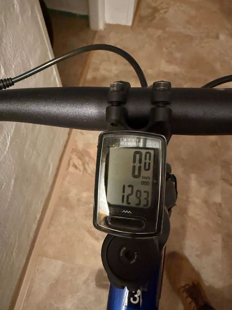 Trek Dual Sport 3 Gen 5