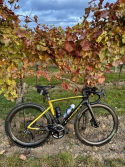 Specialized S-Works Tarmac SL 7, Sagan Edition