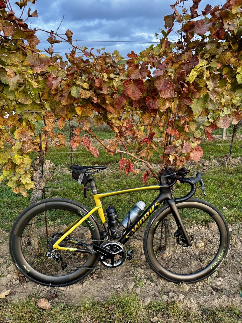 Specialized S-Works Tarmac SL 7, Sagan Edition