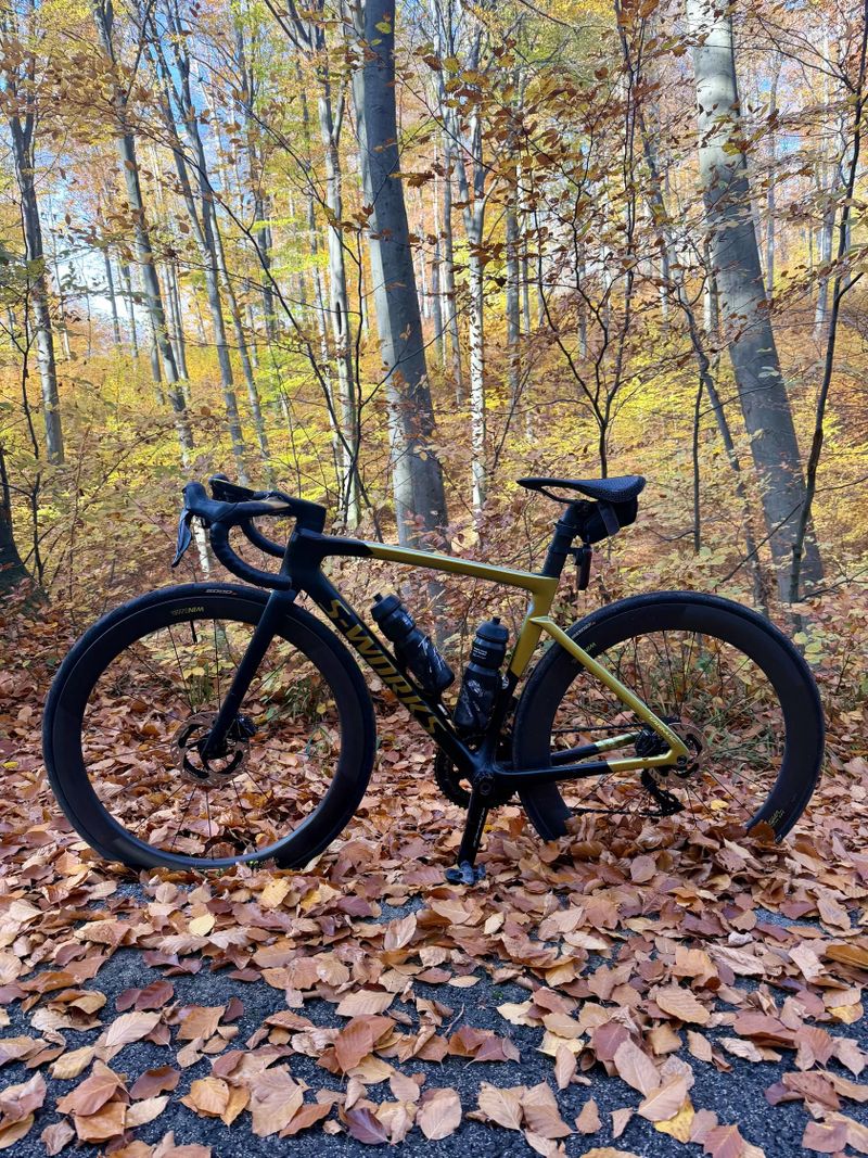 Specialized S-Works Tarmac SL 7, Sagan Edition