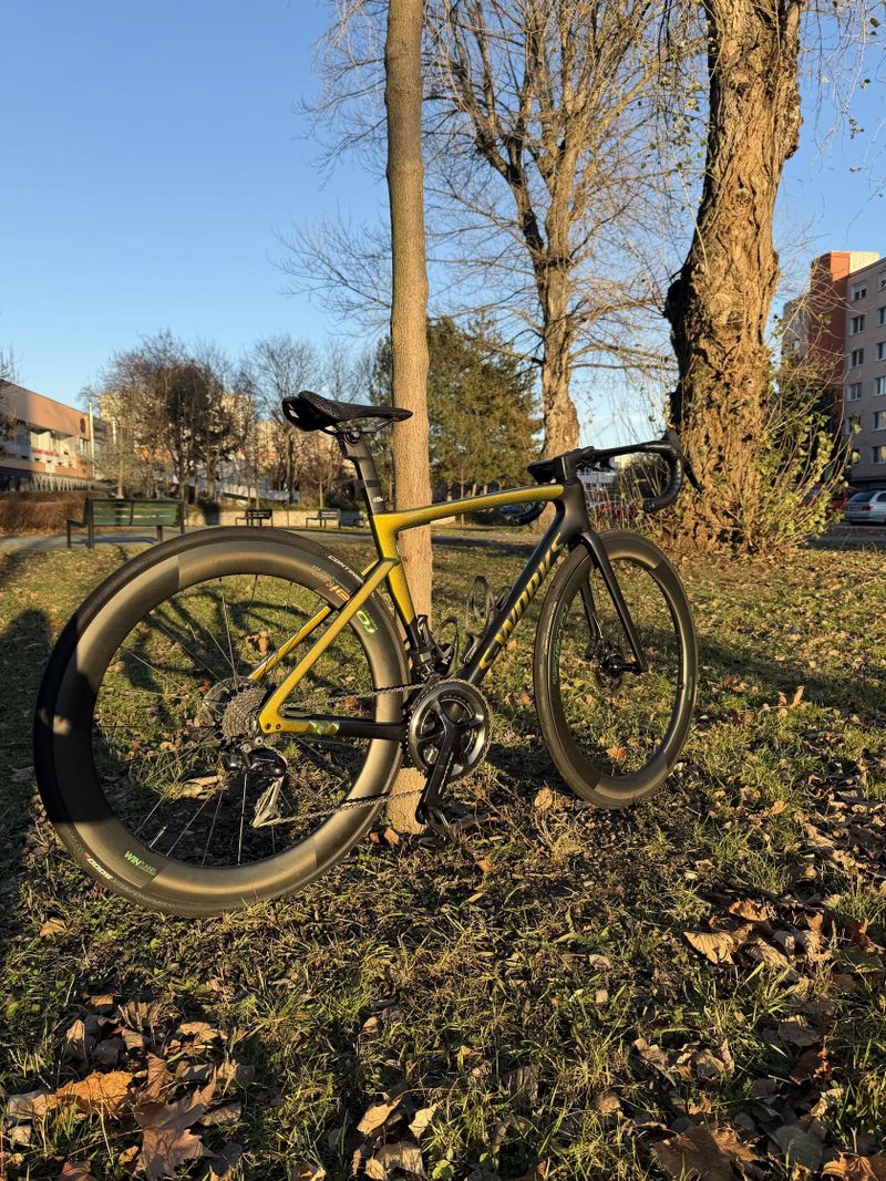 Specialized S-Works Tarmac SL 7, Sagan Edition