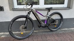 Crussis E-Fionna 9.10