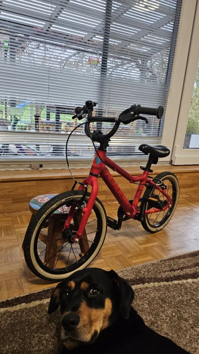 Dětské ultralehké kolo Academy Grade 3 16"