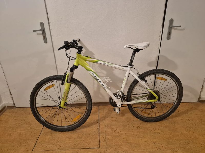 Author basic ASL 2009