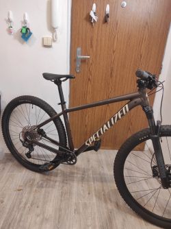 Specialized Rockhopper Elite 29 (L) MTB