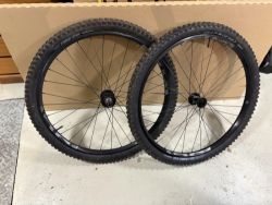 E*thirteen LG1+ kola 