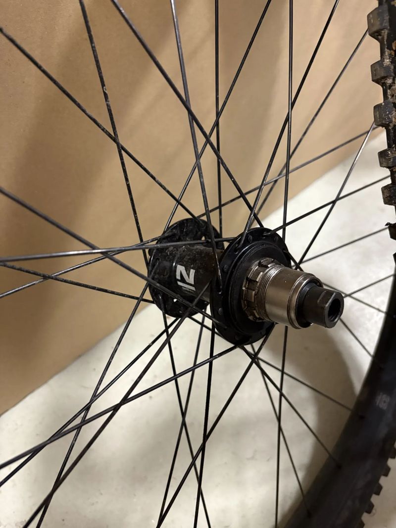 E*thirteen LG1+ kola 