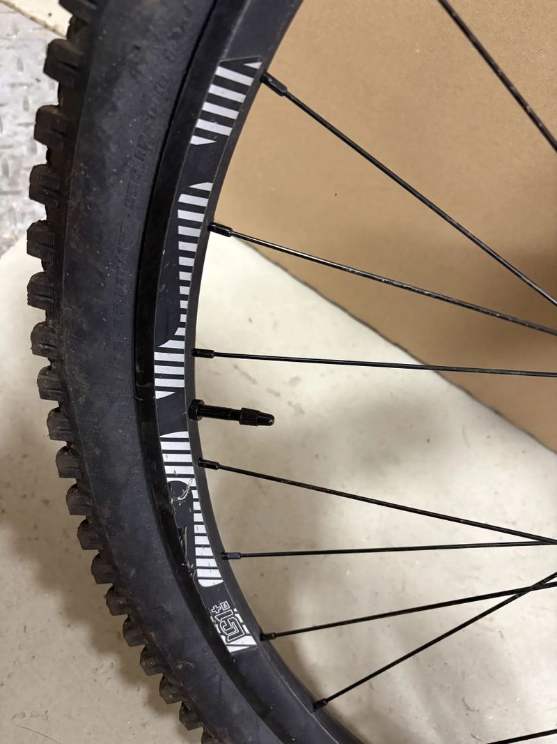 E*thirteen LG1+ kola 