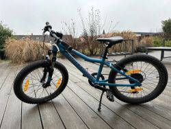 Bergamont Bergamonster 20