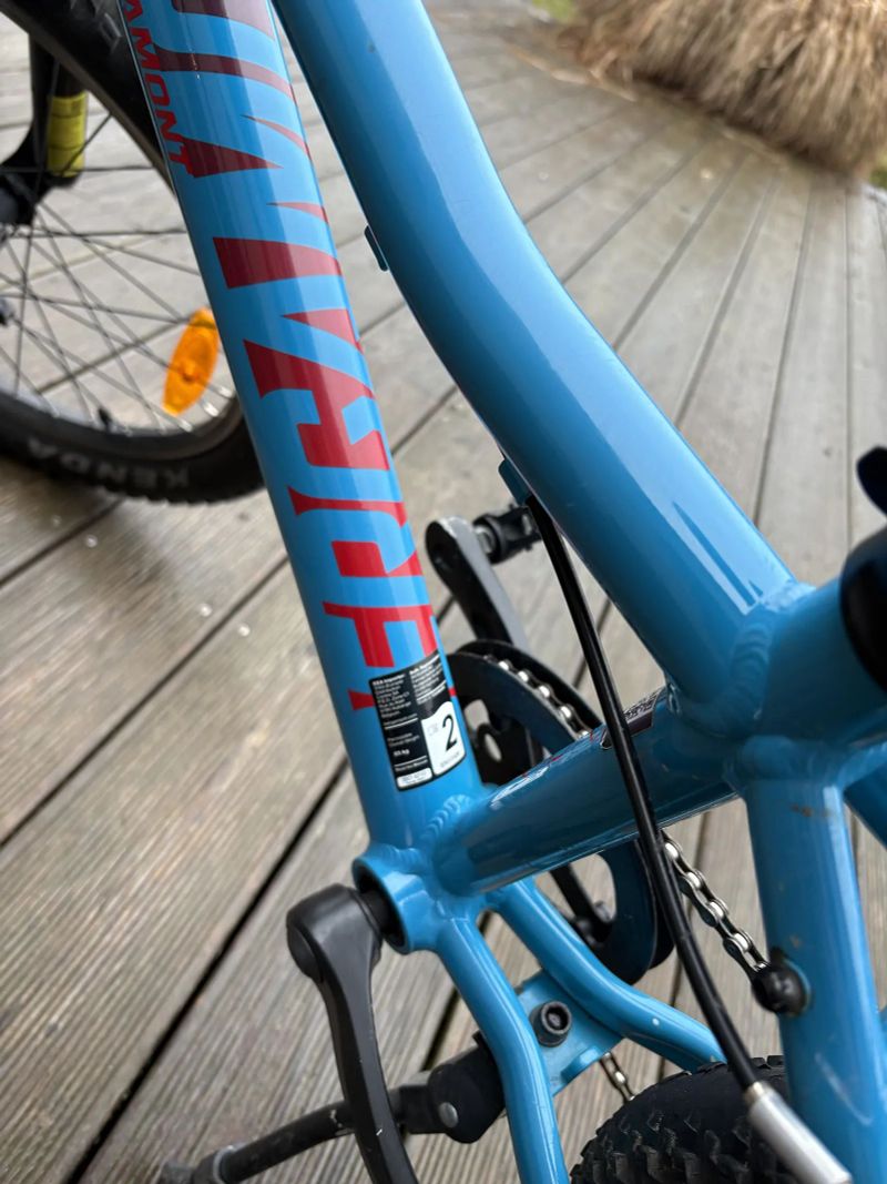 Bergamont Bergamonster 20