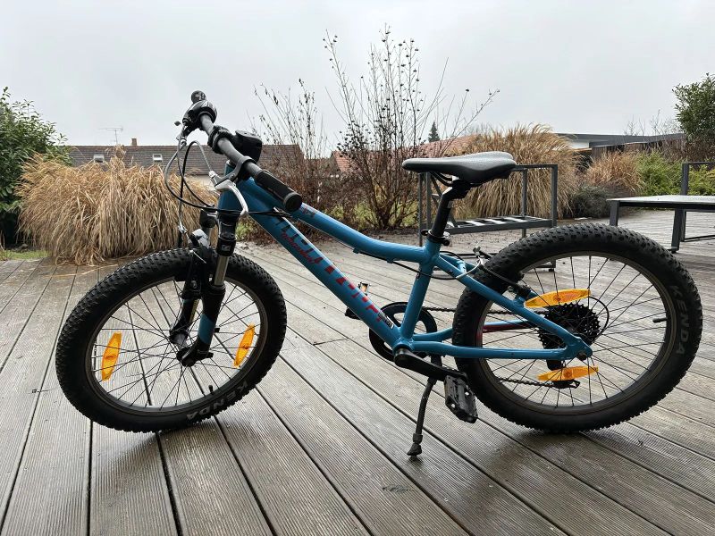 Bergamont Bergamonster 20