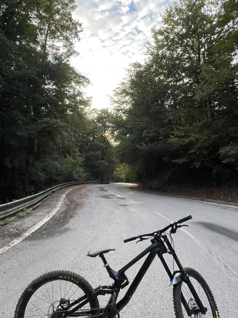 Canyon Sender AL 6.0