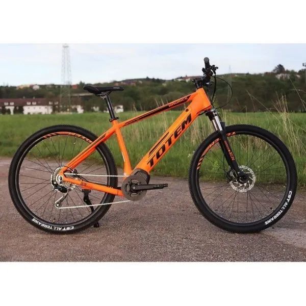 elektrokolo Totem Maurice 29"