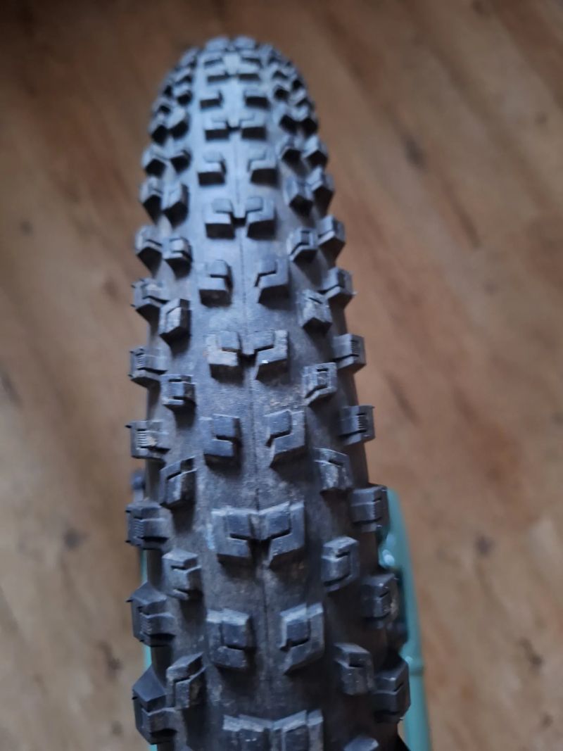 Specialized Riprock 24