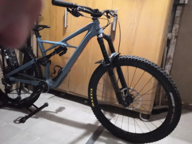 Specialized Enduro Pro 29'