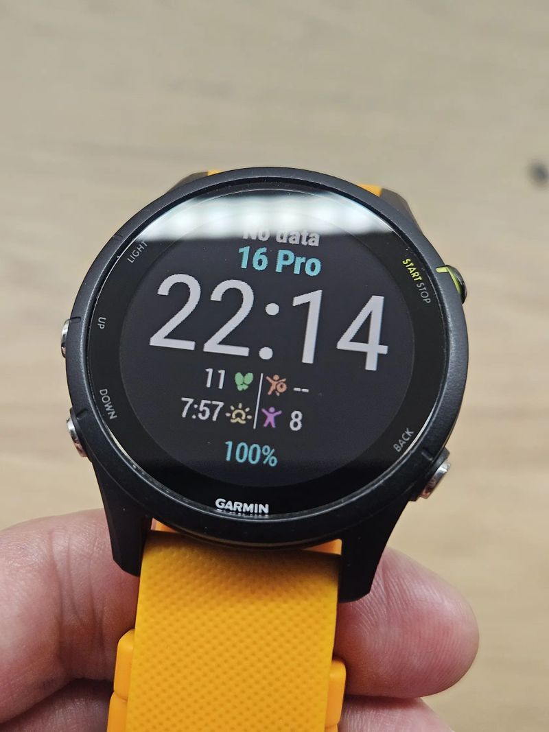 Garmin Forerunner 255 Music