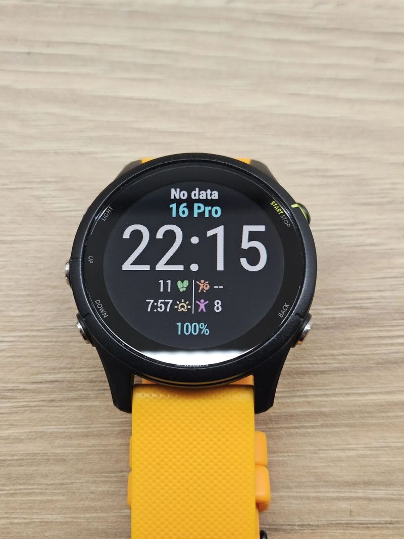 Garmin Forerunner 255 Music