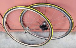 Kola Bayer Sport, 7s