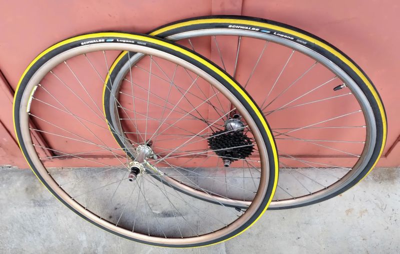 Kola Bayer Sport, 7s