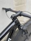 Carbon 29”