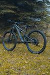 Specialized Stumpjumper S-Works
