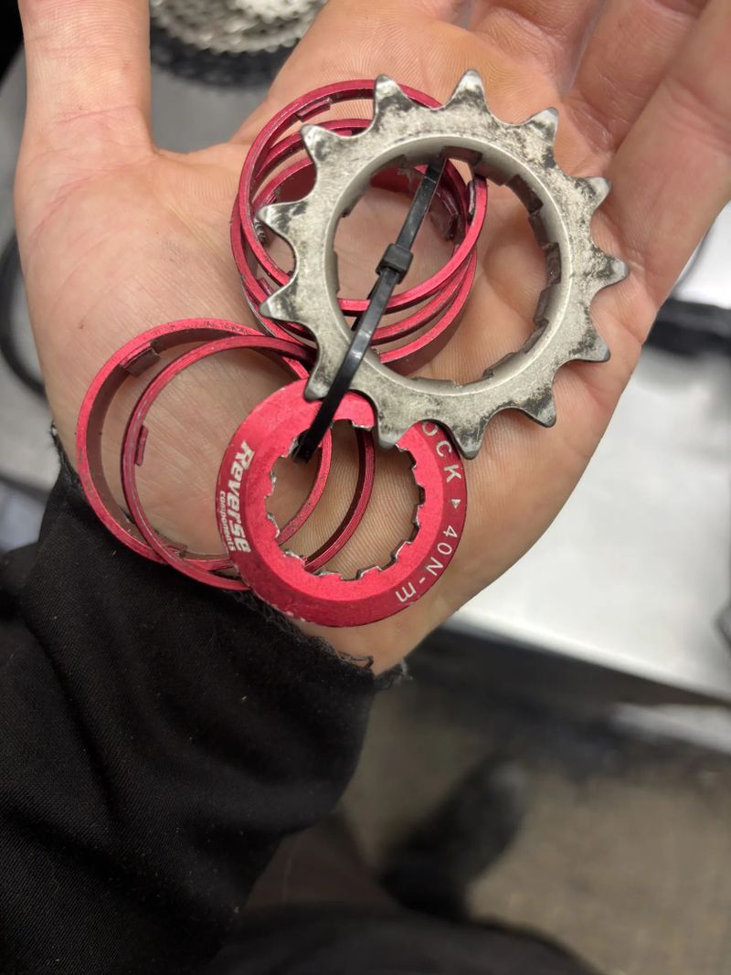 Reverse singlespeed pro dirt 