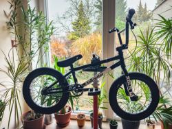 BMX kolo Tall Order 2022 RAMP 16" (pro cca 130-140 cm)