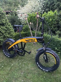 Ducati Scrambler fat