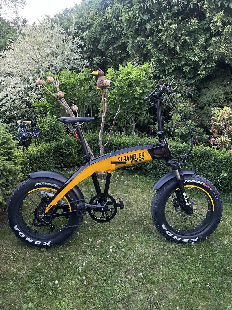Ducati Scrambler fat