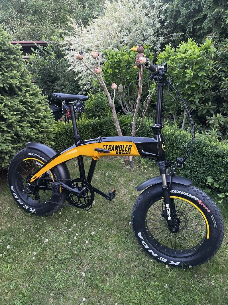 Ducati Scrambler fat