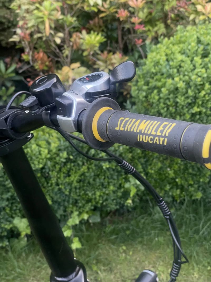 Ducati Scrambler fat